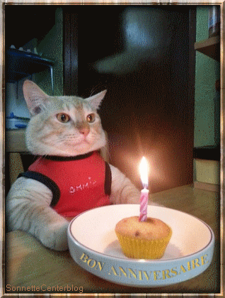 Chat qui souffle une bougie sur gâteau d'anniversaire