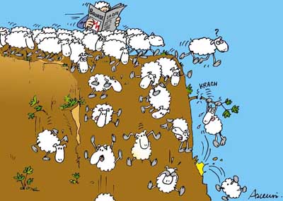 moutons qui se jettent dans un ravin